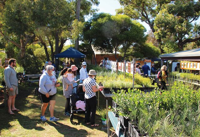 2022 APACE Open Day. Initially a sustainable living demonstration site, APACE now promotes ecological regeneration through a community-focused approach.