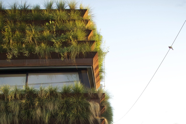 Grass House by David Luck Architecture.