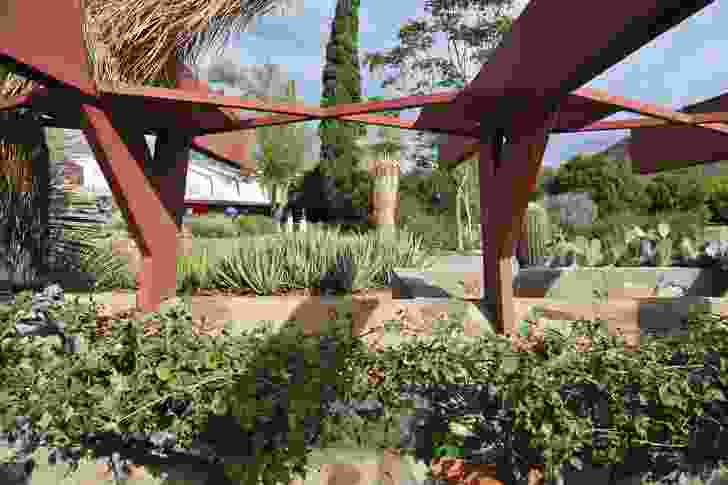 A diverse array of local natives and exotic plants are placed as highlights at Taliesin West in Arizona, USA.