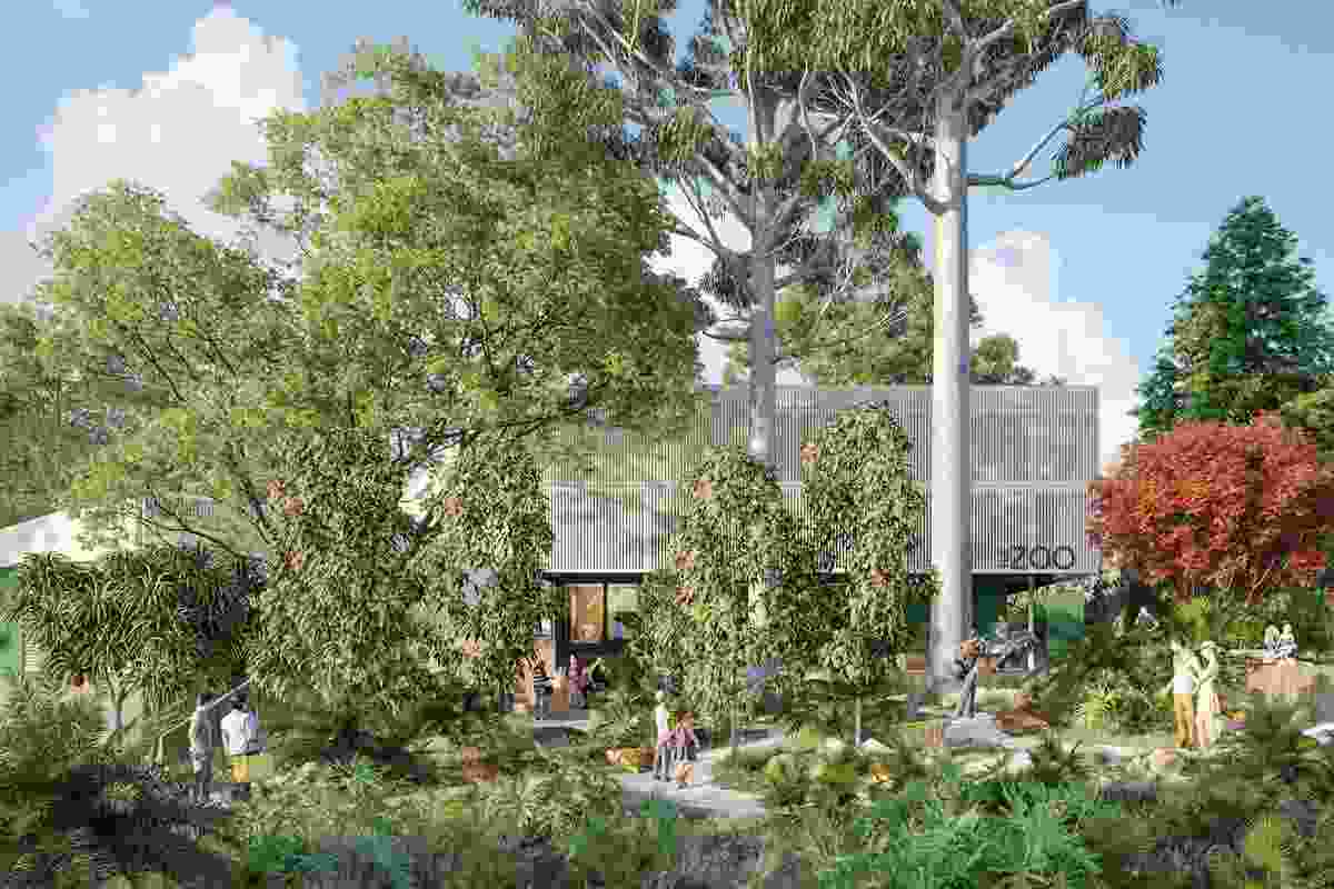 The proposed Rockhampton Zoo visitor hub designed by Cox Architecture with local collaborators Design and Architecture