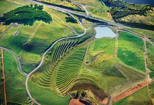 Patterns in the landscape are more visible in these early years.