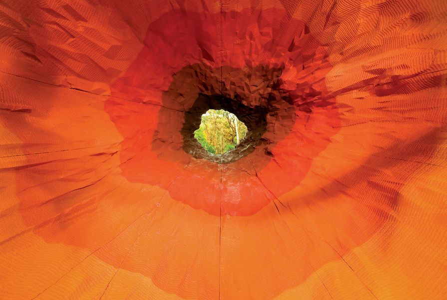 Monument #28: Vortex, 2011. Courtesy of the artist and Roslyn Oxley9 Gallery, Sydney.