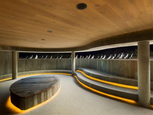 Penguin Plus Viewing by Wood Marsh Architecture and Tract Consultants.