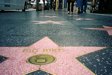 Hollywood Walk of Fame, Los Angeles.
