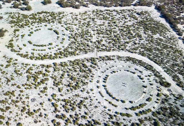 On Goreng Noongar Country. stories have been embedded into the landscape as part of the restoration project, including representations of the six seasonal circles.
