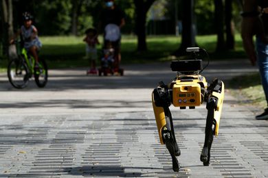 A robot dog called Spot patrols a Singapore park playing a recorded message telling people to observe physical distancing measures.