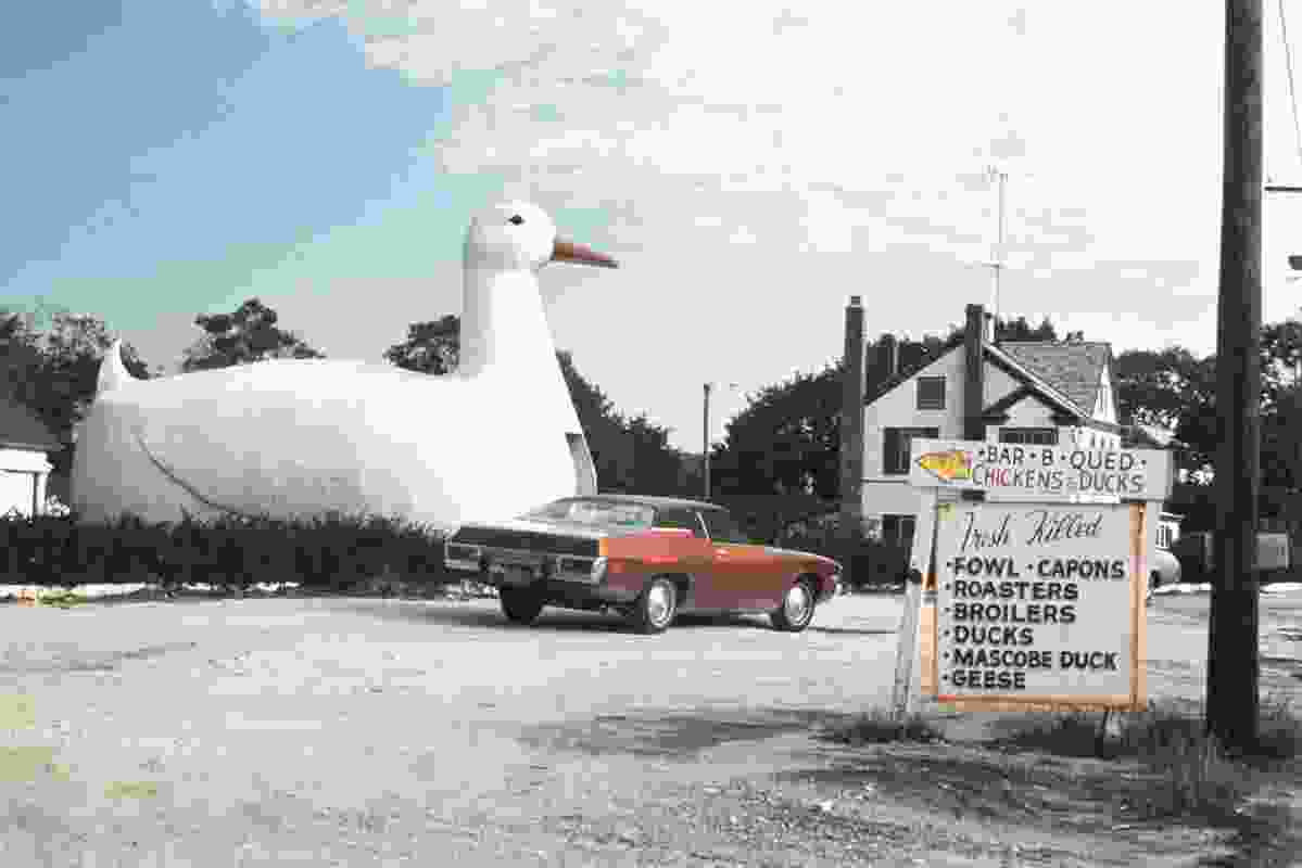 The Big Duck, Long Island, Flanders, New York, 1970.
