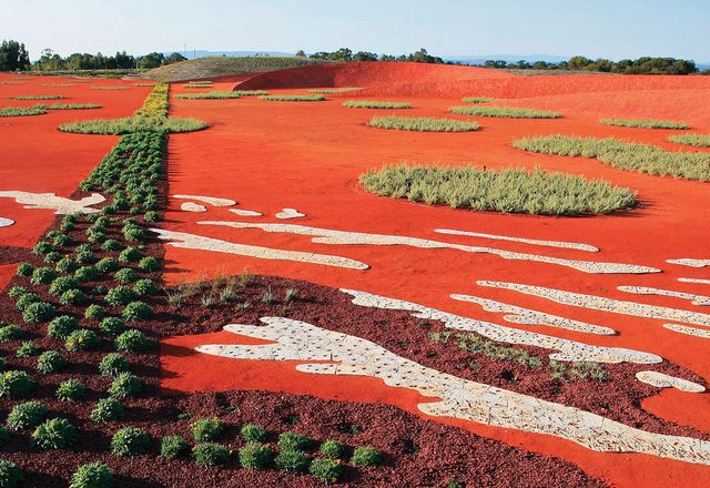 澳大利亚花园的沙花园，沙漠体验的抽象。