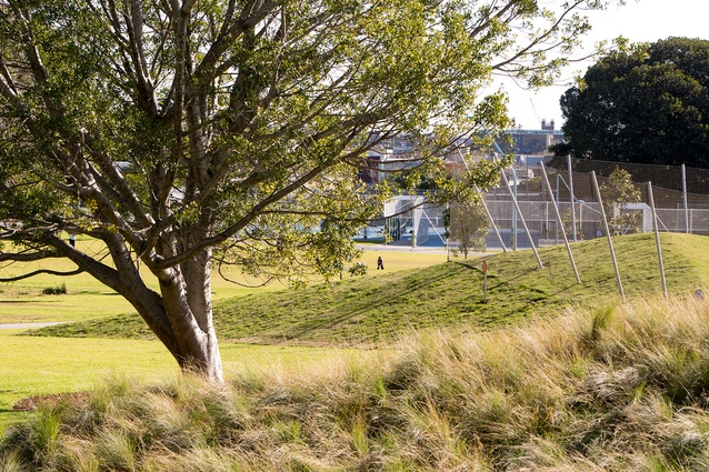 Prince Alfred Park and Pool by Sue Barnsley Design, Neeson Murcutt and City of Sydney.