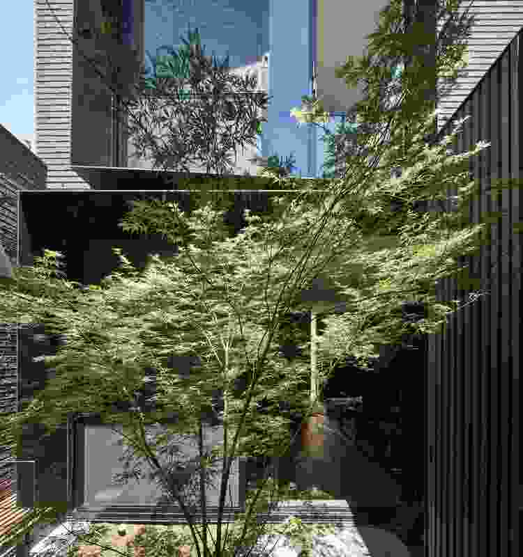 A courtyard has been planted to become a lush green space with views of the sky.