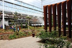 Balancing Detail and Strategy: Tonsley