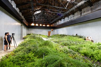 The Italian pavilion at the 2012 Venice Architecture Biennale.