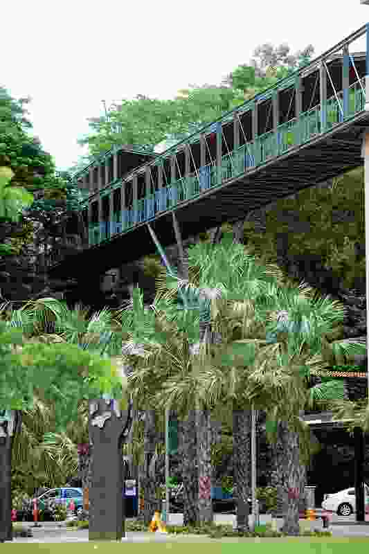 A view of the sky bridge from the “palm grove” entry plaza.