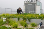 2014 National Landscape Architecture Award: Research & Communication
