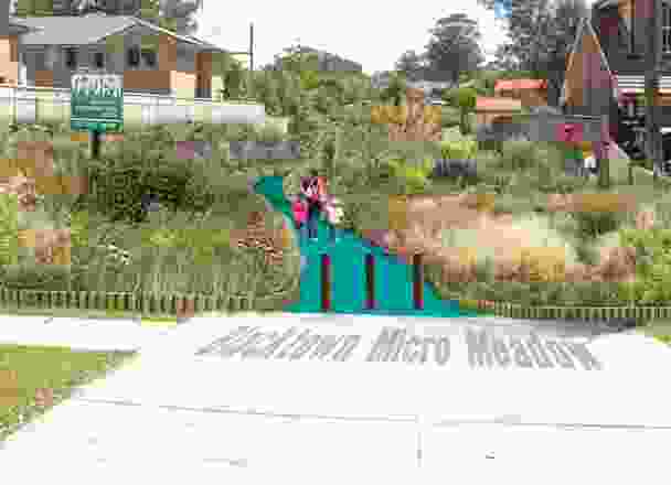 Urban Micromeadows by Abinaya Rajavelu, Sarah Reilly and Elise O’Ryan (Cred Consulting), winner of best open space idea.