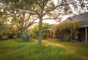 The colonial garden at Cox’s Cottage, at Mulgoa, west of Sydney, at the foot of the Blue Mountains.