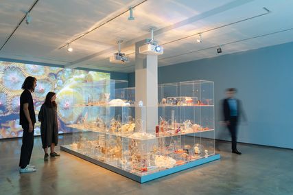 Janet Laurence, Deep Breathing: Resuscitation for the Reef, 2015–16/2019, installation view, Museum of Contemporary Art (MCA) Australia, 2019. Image courtesy and copyright the artist.