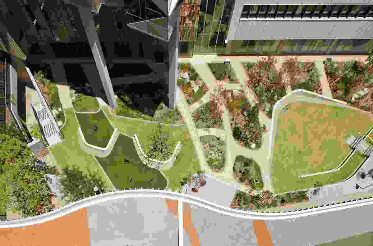 A continuous landscape character is woven through the Fiona Stanley Hospital precinct, connecting courtyards, plazas, parklands, rooftops and bushland.