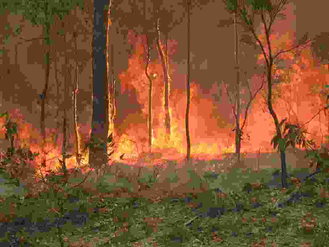Bush fire at Captain Creek, Central Queensland by 80 trading 24, licensed under CC BY-SA 3.0