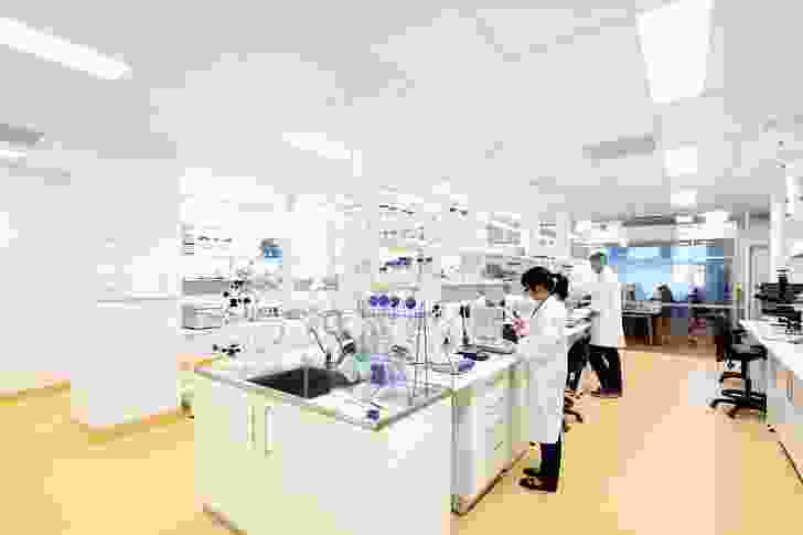 Laboratories occupy the top two floors. Diffused light from the floor-to-ceiling glass walls illuminates the working areas.