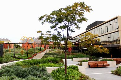 Bendigo Hospital Project by Oculus Landscape Architecture and Urban Design won the Award of Excellence in the Civic Landscape category.