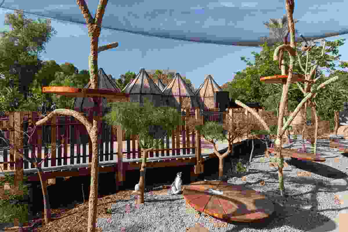 Elevated walkways and the Tree House structure allow visitors to interact with the lemurs at ground and tree levels.