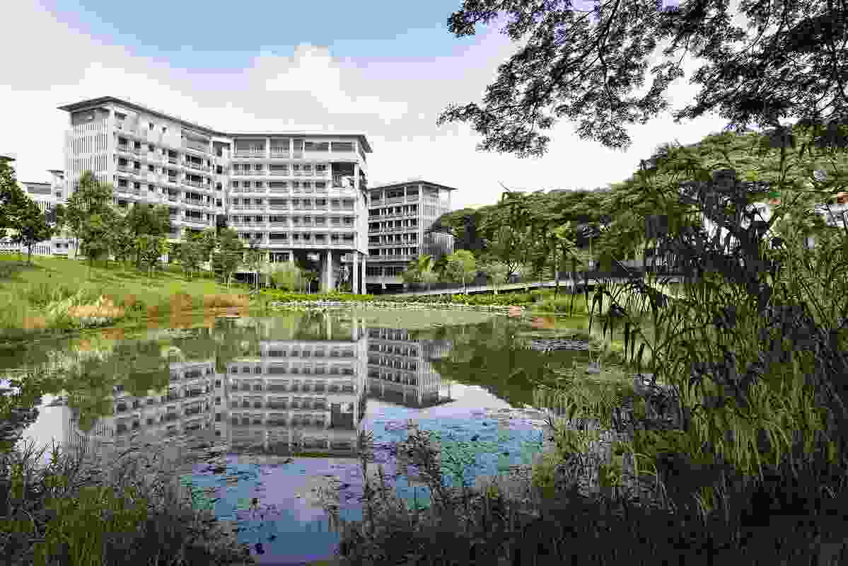 The residents of NTU’s Pioneer and Crescent Halls can immerse themselves in the wetland habitat via a network of elevated boardwalks, seating decks and an experiential trail.