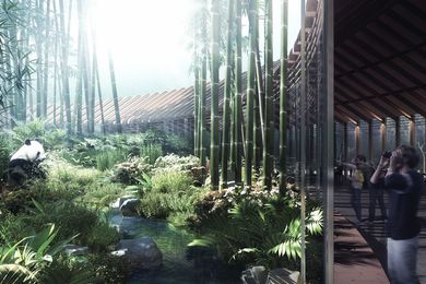 The Panda Land masterplan by Hassell in collaboration with the Tongji Urban Planning and Design Institute and Joe Coe Design.