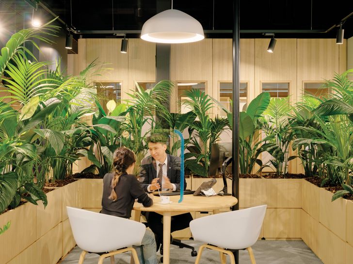 Numerous plants, chosen because they require low levels of natural light, purify the air as part of Breathe’s biophilic fitout design.