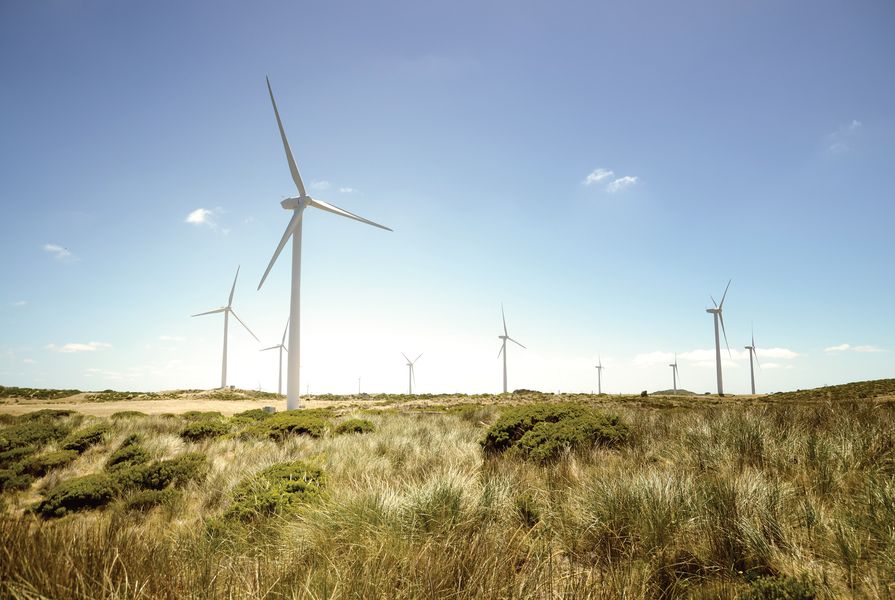Windfarms are typically located in areas with consistently high winds, proximity to existing energy infrastructure and availability of accessible land.