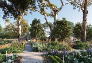 The proposed Healing Garden at Heide Museum of Modern Art by Openwork.