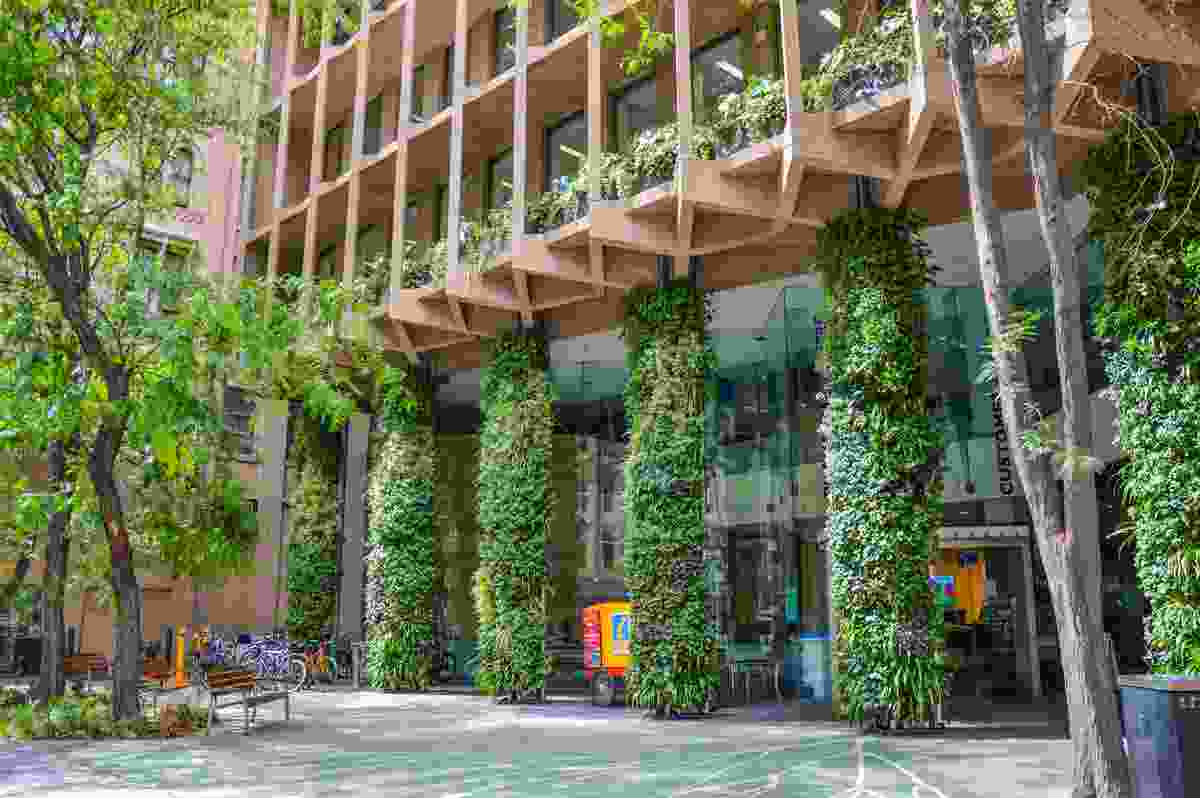 Colonel Light Centre Forecourt Green Wall by City of Adelaide, Design & Strategy. 