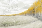 2012 AILA NSW Awards