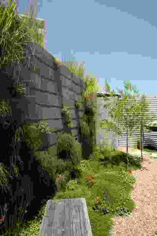 The planted concrete block wall enclosing the courtyard.