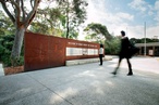 Burrawang walk