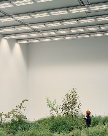 The main component of the exhibition, Grasslands Repair , includes more than 10,000 plants from 65 species of Victorian Western Plains grasses.