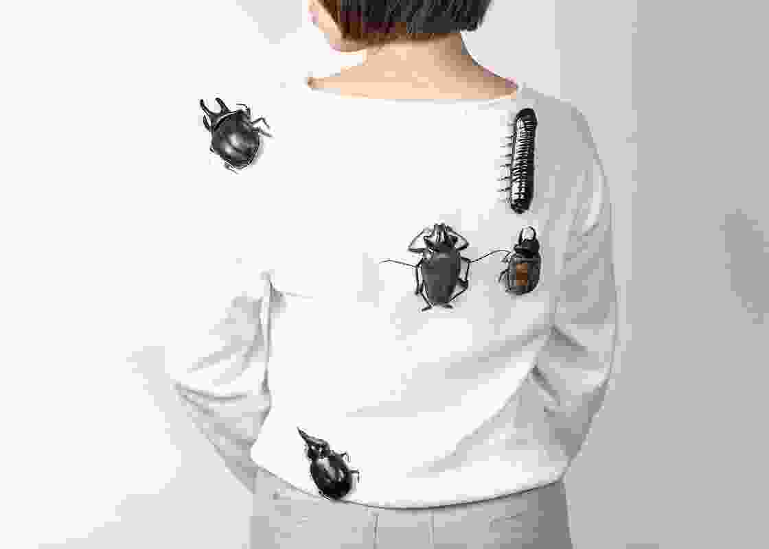 The Coleoptera series (2019) features beetles made from porcelain.