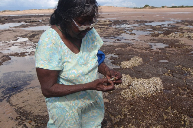Cissy Djiagween collecting oysters.