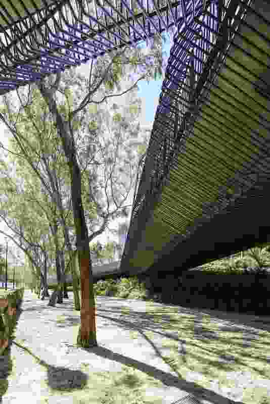 Tanderrum Bridge designed by John Wardle Architects and NADAAA is made from a flat steel girder structure encased in concrete and wrapped in a "filigree" skin.