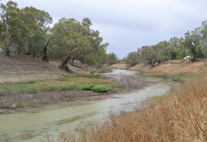The Darling River at Wilcannia, New South Wales in 2014. The idea of landscape, as separated and separable, has contributed to the commodification of the environment with consequences showing in the particularly dire state of the Darling River.