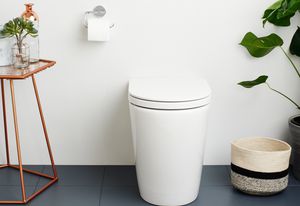 New Caroma Cleanflush toilets