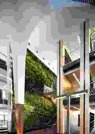 Like FJMT’s Surry Hills Library, BLaKC incorporates a green wall component.