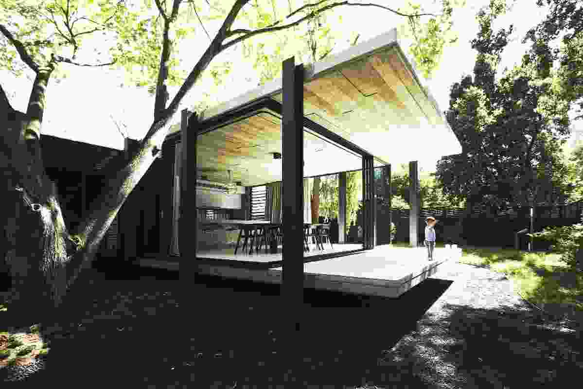 Elm and Willow House 2009. The flat-roofed, pavilion-like wings project into the outdoor spaces.