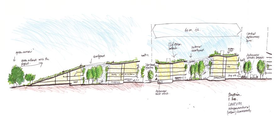 Making the most of life: The longevity bonus is a design issue ...