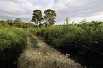 2010 AILA National Landscape Architecture Award: Excellence for Land Management