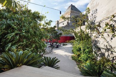 The Terrace Courtyard is intended to be jungly, overgrown and not maintained too strongly.