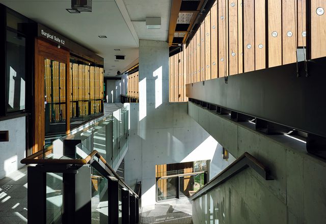 UQ Oral Health Centre by Cox Architecture.