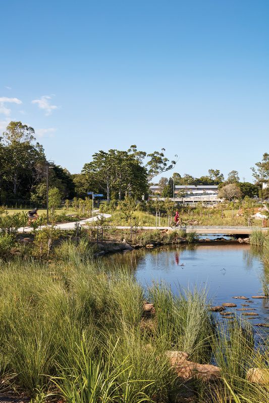 Restoration and connection Hanlon Park/Bur’uda Waterway Rejuvenation Landscape Australia