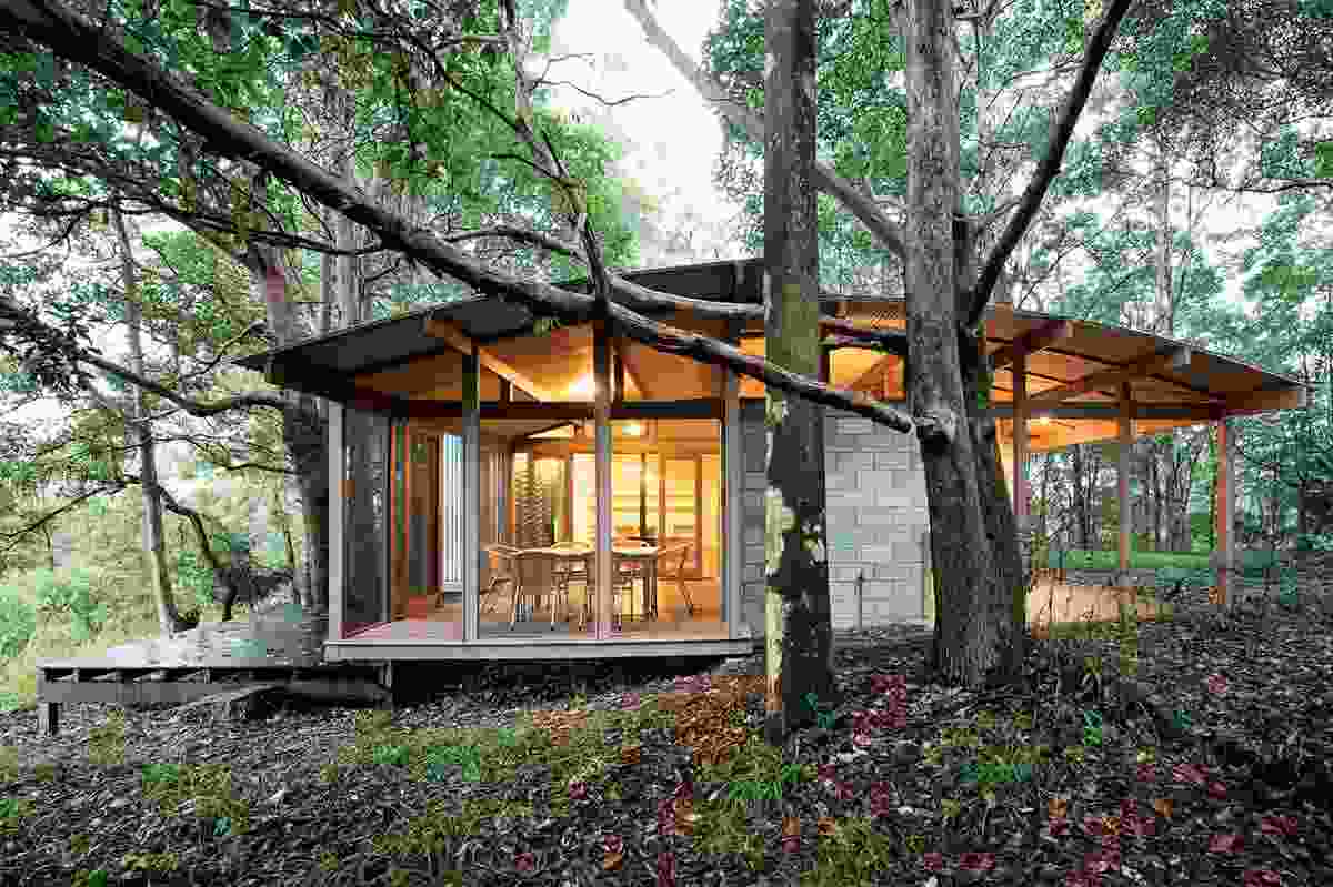 The house is nestled among a stunning forest of eucalypts.