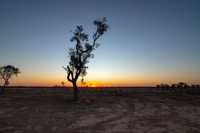 Image of Queensland outback.